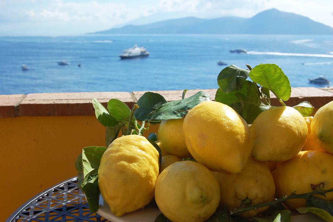 Bed and Breakfast La Terrazza Sul Mare Capri Zewnętrze zdjęcie