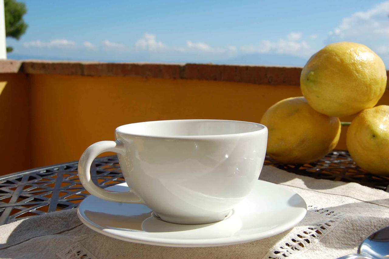 Bed and Breakfast La Terrazza Sul Mare Capri Zewnętrze zdjęcie
