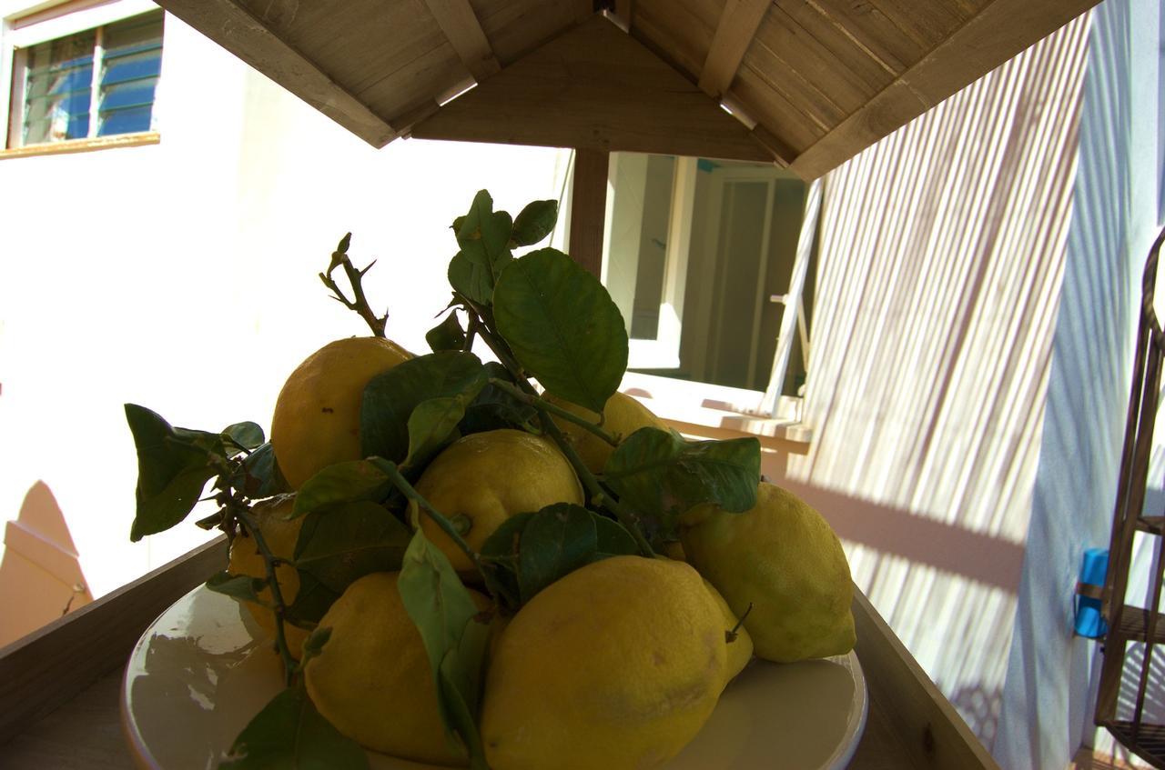 Bed and Breakfast La Terrazza Sul Mare Capri Zewnętrze zdjęcie