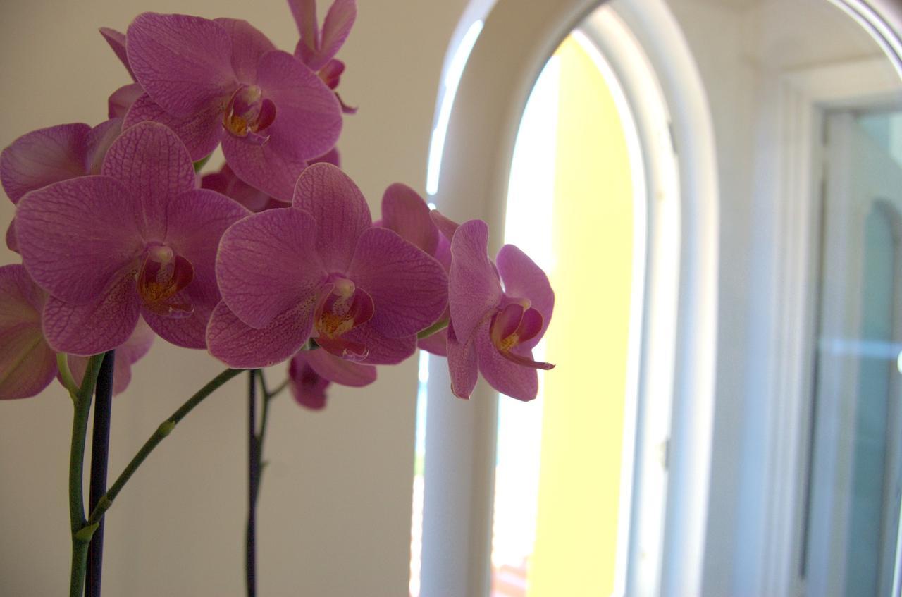 Bed and Breakfast La Terrazza Sul Mare Capri Zewnętrze zdjęcie