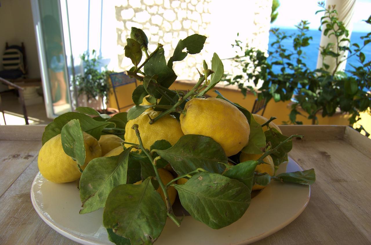 Bed and Breakfast La Terrazza Sul Mare Capri Zewnętrze zdjęcie