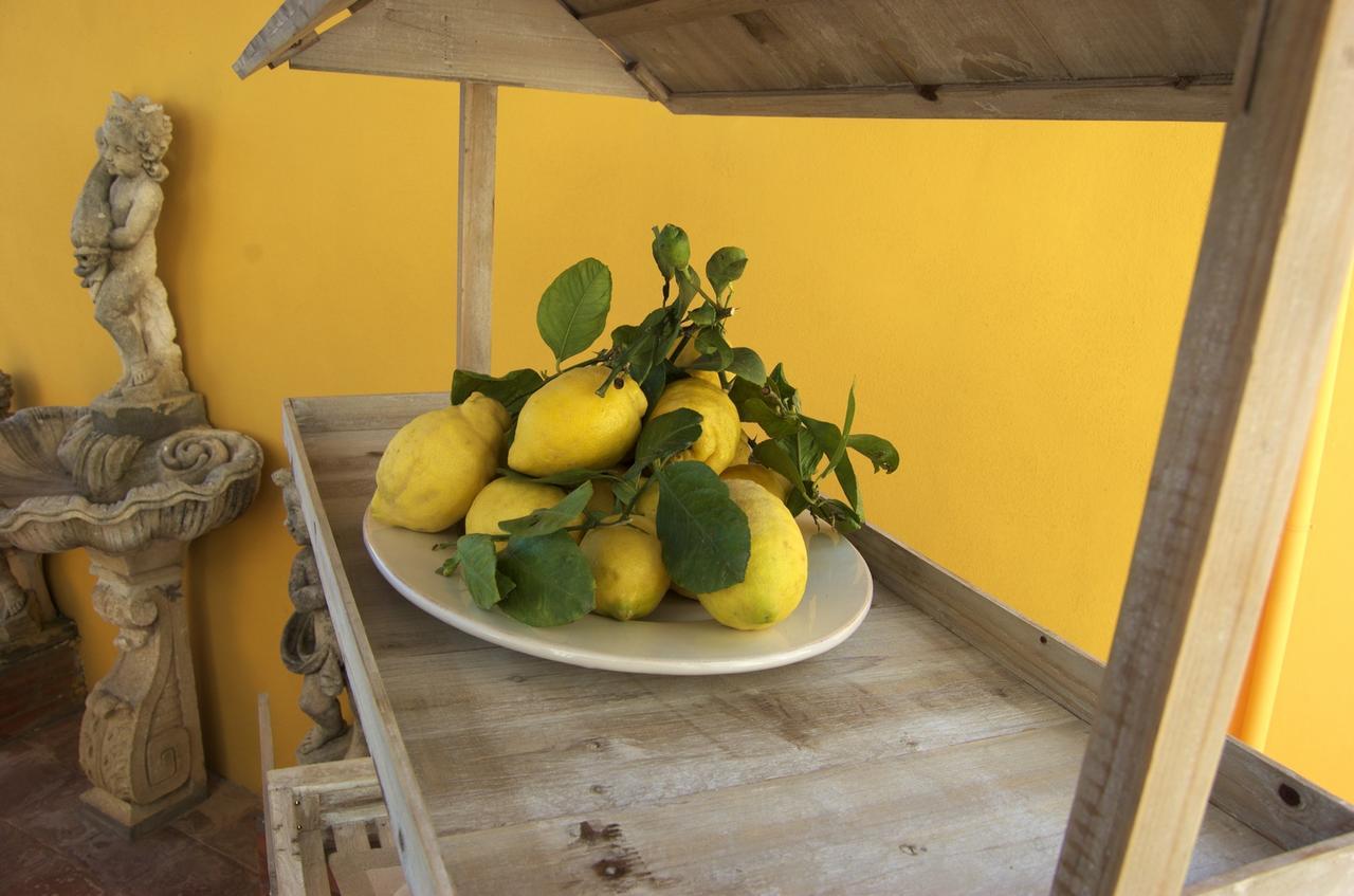 Bed and Breakfast La Terrazza Sul Mare Capri Zewnętrze zdjęcie